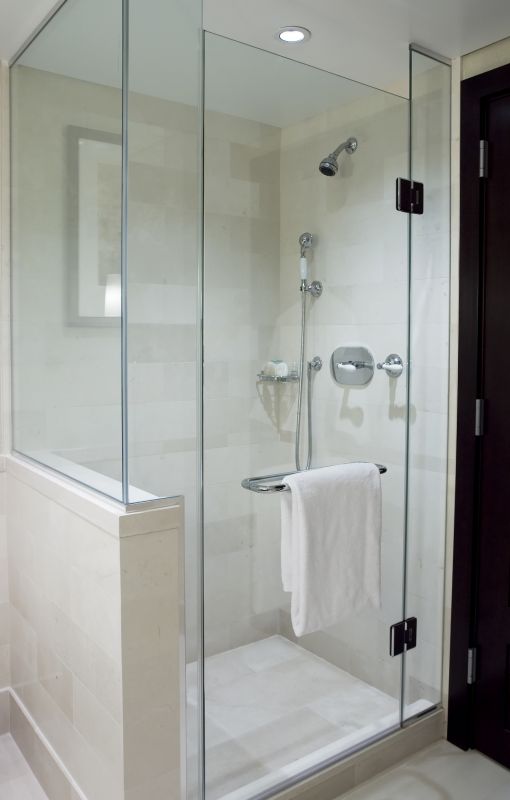 Contemporary Frameless Shower